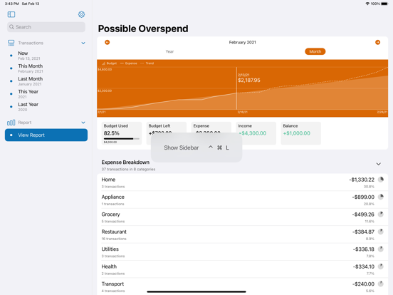 Coins - Spending Tracker iPad app afbeelding 2