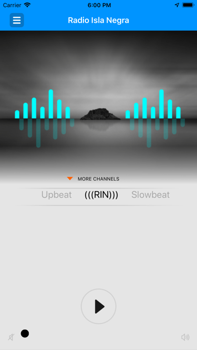 Screenshot #1 pour Radio Isla Negra