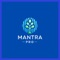 Mantra Pro is a revolutionary app designed specifically for individuals who are looking to plan their retirement life while also achieving their life's goals