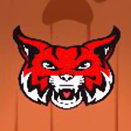 Brave Tiger Head Adventure