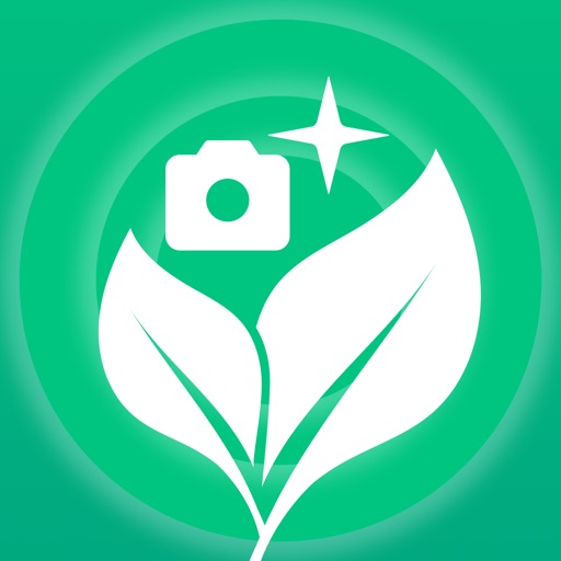 Plantory — Plant Identifier