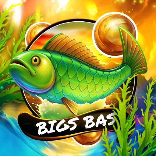 Bigs Bass Banz