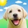 Weather Puppy Forecast + Radar