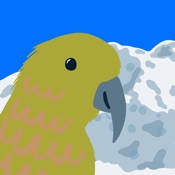 Bird App: a Bird a Day