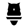 Perch Fitness icon