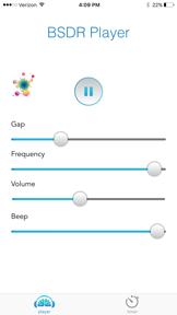 BSDR Player screenshot