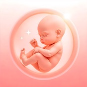 Contraction Timer: Labor Signs