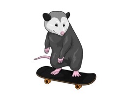 Skateboarding Opossum Stickers