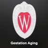 Gestation Aging icon