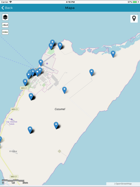 Aves de Cozumel iPad screenshot