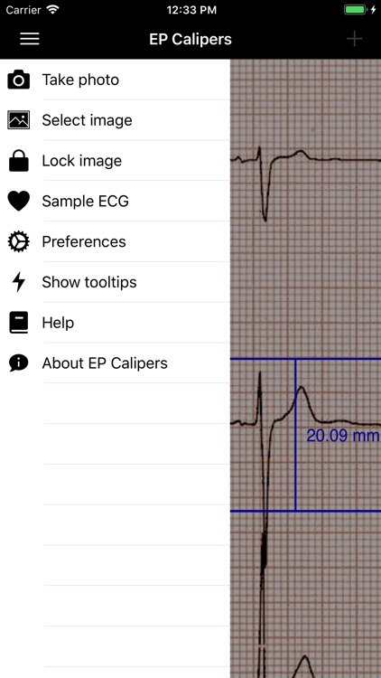 EP Calipers screenshot-6