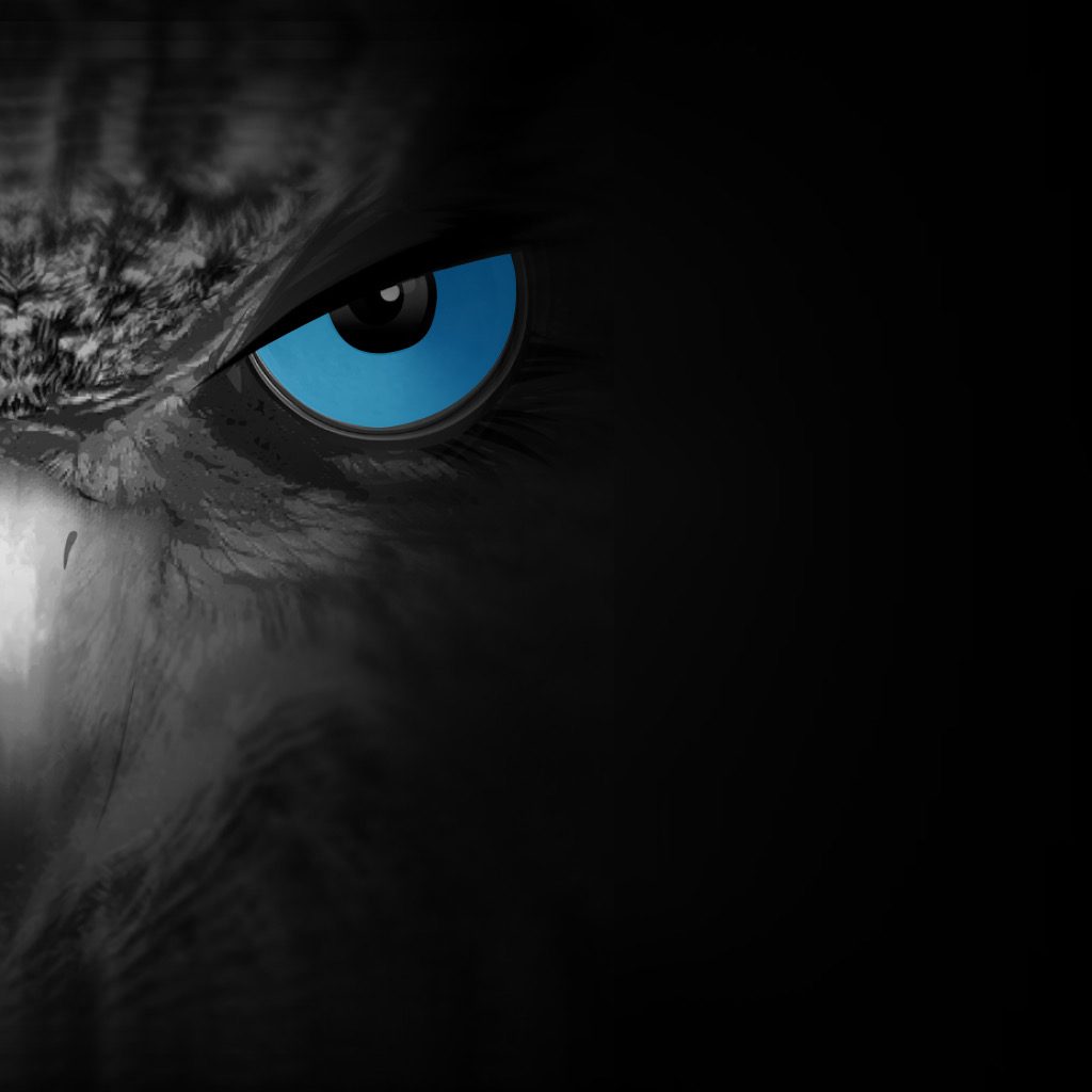 Get Avtech DVR for iOS, iPhone, iPad Aso Report