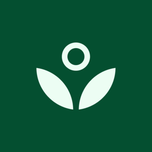 Fruitful: Finances figured out