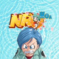Nro Hoa logo