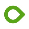 Dexcom ONE