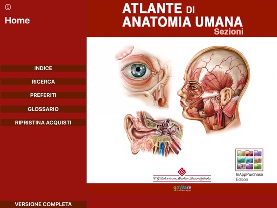 Atlante di Anatomia-Sezioniのおすすめ画像1