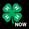 4-H Now icon