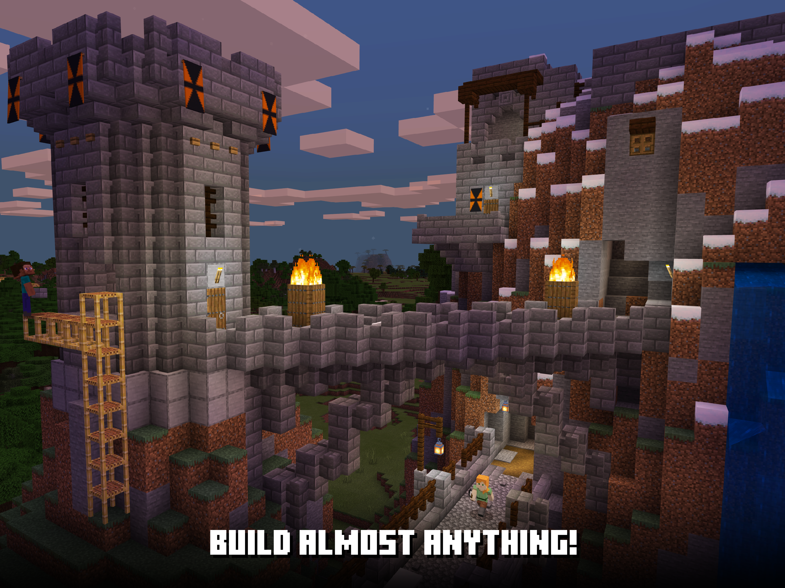 Minecraft: Play with Friends!