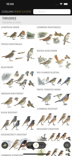 Collins British Bird Guide screenshot 1