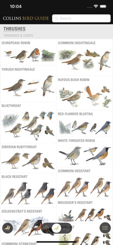 Collins British Bird Guide Screenshot 1 of 4