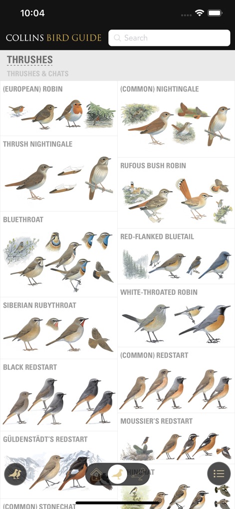 Collins British Bird Guide - Reference App | MWM