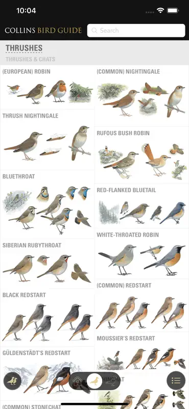 Collins British Bird Guide screenshot 1 of 4