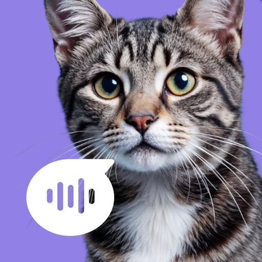 Cat translator: Kitty MeowTalk