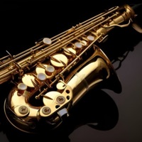 Saxophone Instrument