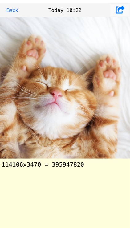 ingCalc screenshot-3