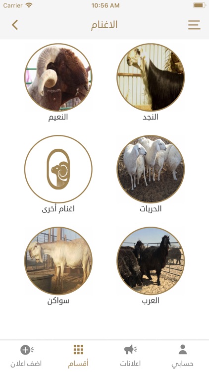 حلال الخليج