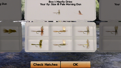 Screenshot #2 pour Fly Fishing Simulator HD