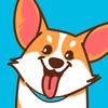 Dogsy – Возьмём собаку в гости icon