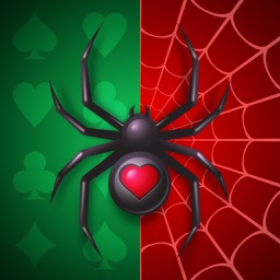 Spider Solitaire - Retro Card
