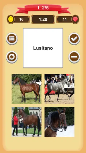 Horse Quiz screenshot 4