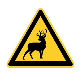 螢幕擷取畫面 (8) Utah Roadkill Reporter