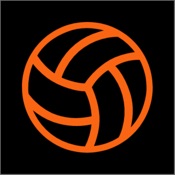 Volleyball Scout