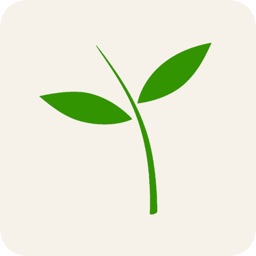Kaizen Wellness