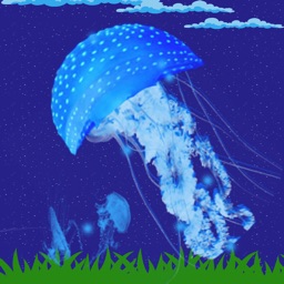 Marine Biology Department