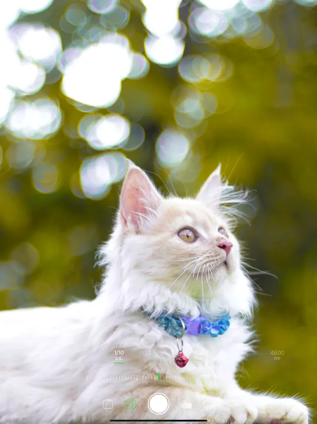 Camera Profissional&Câmera Pro_2