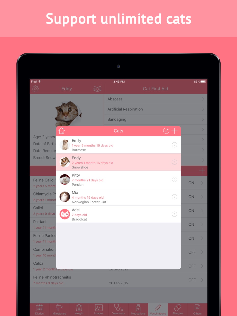 iPad screenshot