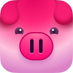Digital Piggy Bank