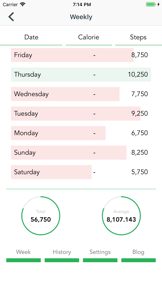 The Pedometer: Step Counter screenshot