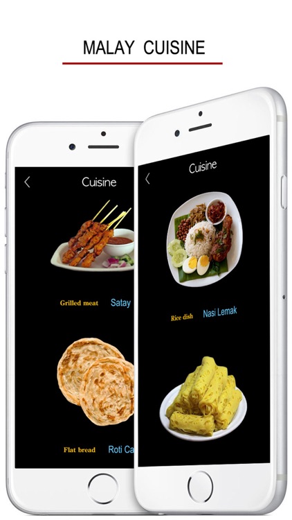 Learn Malay Language ! screenshot-4
