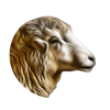 My Sheep Manager - Farming app - Bivatec Ltd