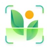 My Plant: AI Plant Identitier icon