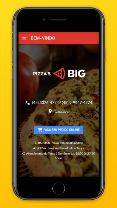 Screenshot #1 pour Pizzas Big