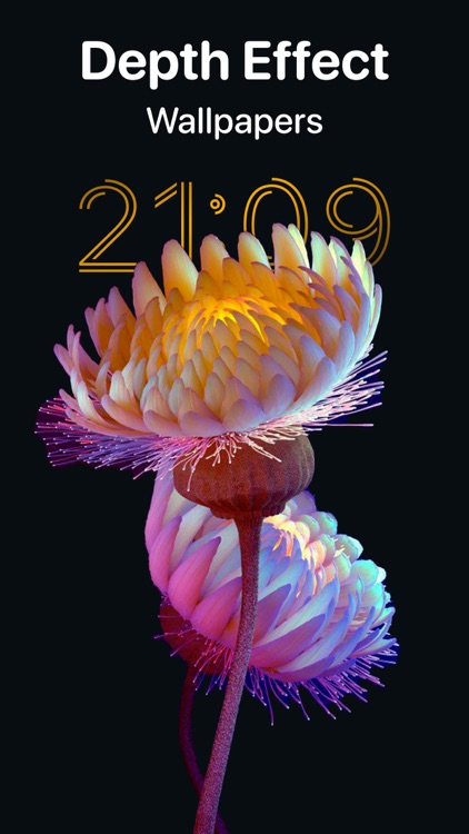 Live Wallpapers & Watch Faces