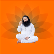 Meditate with MSG