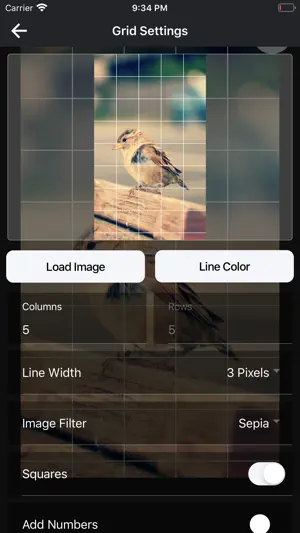 DrawinGrid screenshot 2