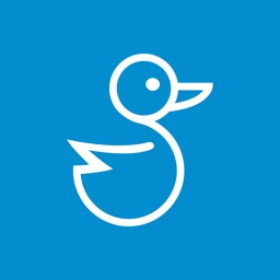 Blue Duck